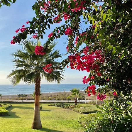 Sunshine Beach Front Complex, Wifi, Modern Casares Eksteriør bilde