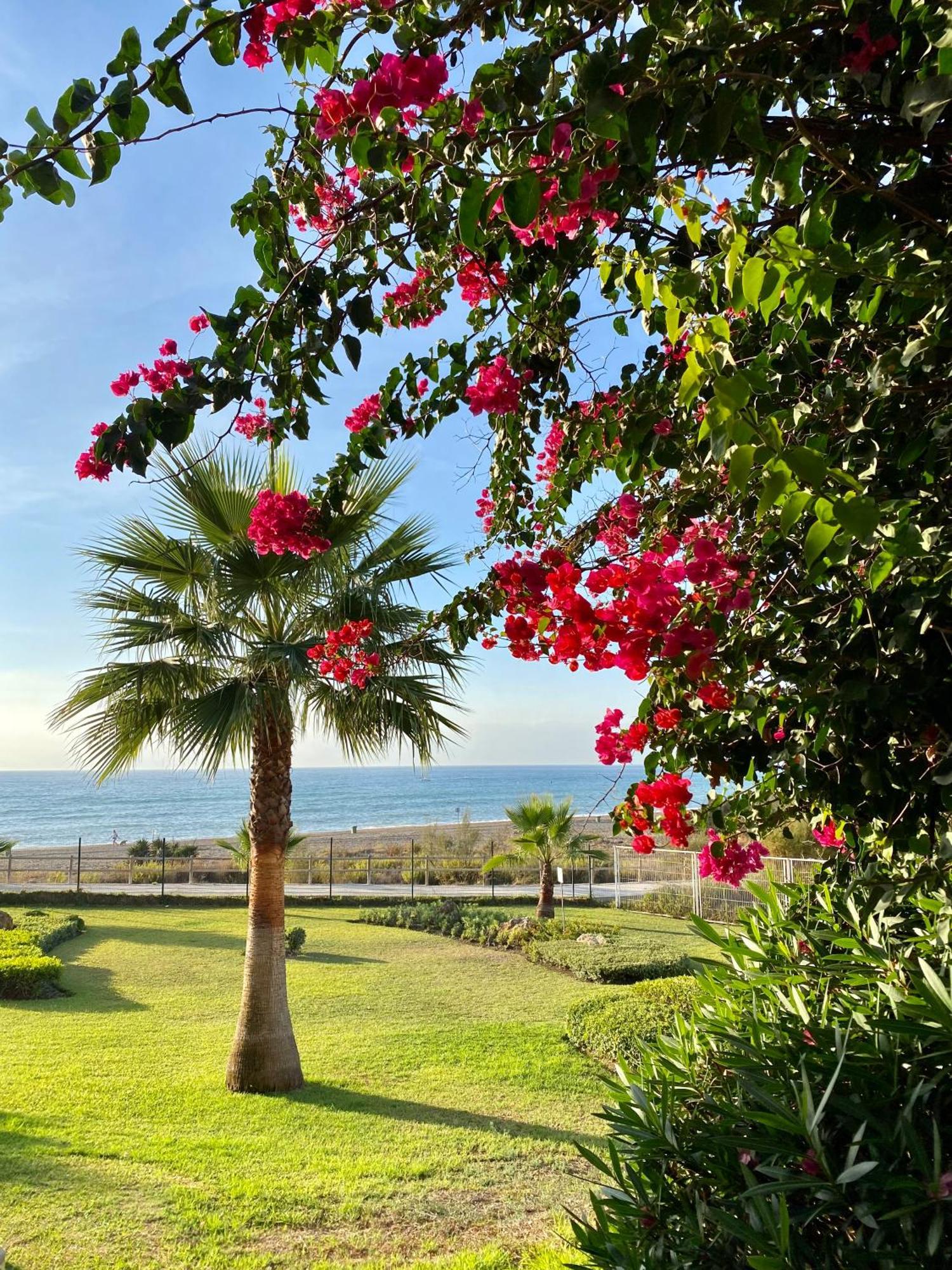 Sunshine Beach Front Complex, Wifi, Modern Casares Eksteriør bilde